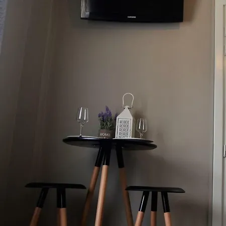 Stylish Studio Lejlighed *
